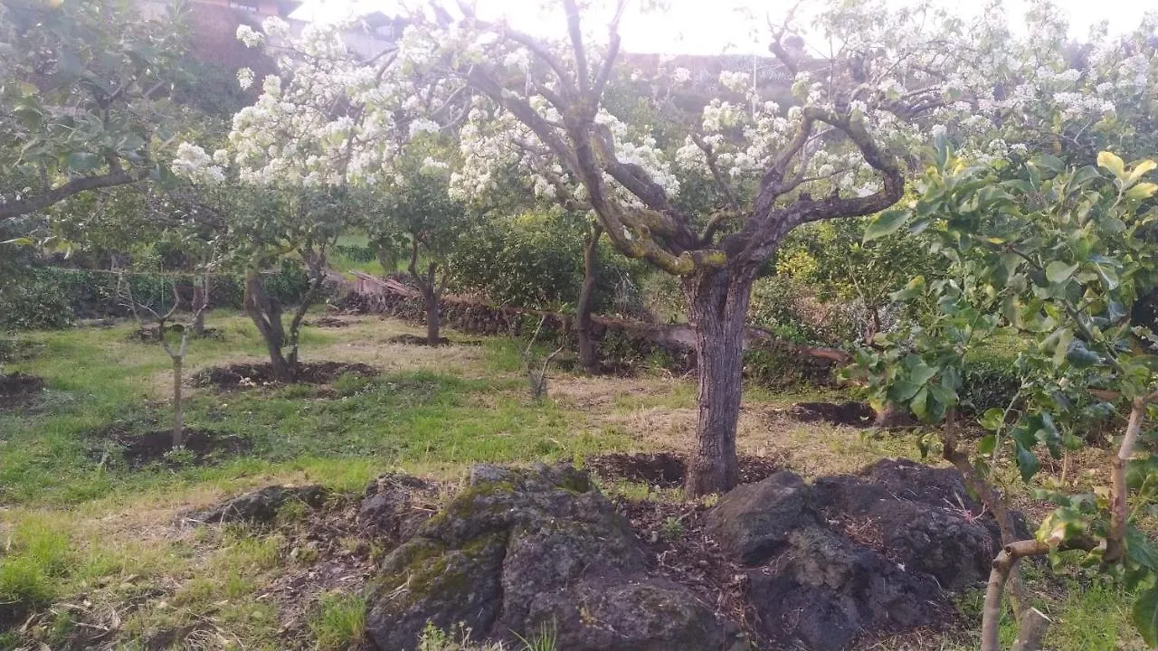 Bed and Breakfast Il Giardino di Galatea Acireale Italia