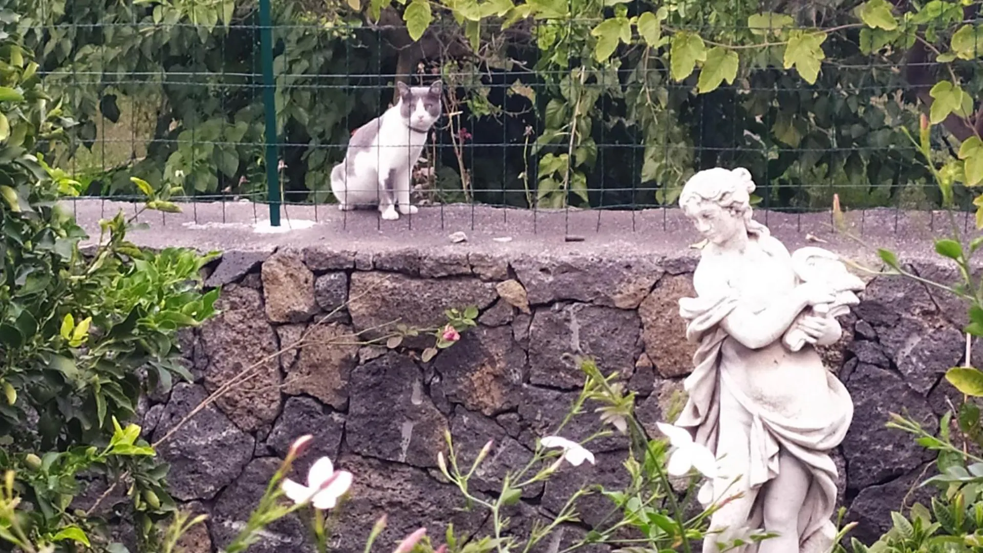 阿奇雷亚莱Il Giardino Di Galatea住宿加早餐旅馆 住宿加早餐酒店
